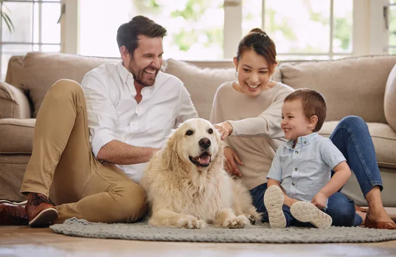 family playing with dog, pest free home